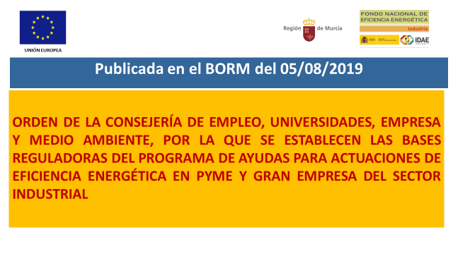 ORDEN POR LA QUE SE ESTABLECEN LAS BASES REGULADORAS DEL PROGRAMA DE AYUDAS PARA ACTUACIONES DE EFICIENCIA ENERGÉTICA EN PYME Y GRAN EMPRESA DEL SECTOR INDUSTRIAL