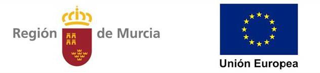 Banda Region Murcia y Union Europea 1