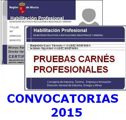 carnes profesionales -Convocatorias 2015-1